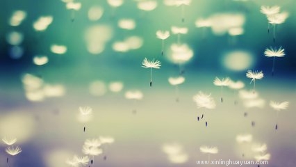 意象对话的“无我”观