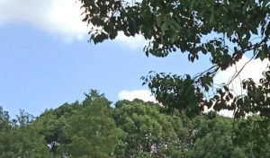 第403期心理沙龙 - 第1张  | 心灵花园网